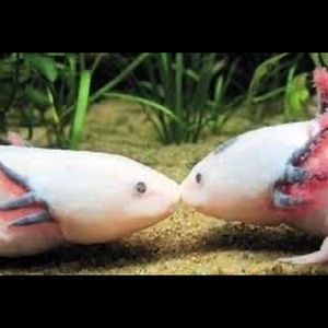 Meet your Posher, Kaylyne